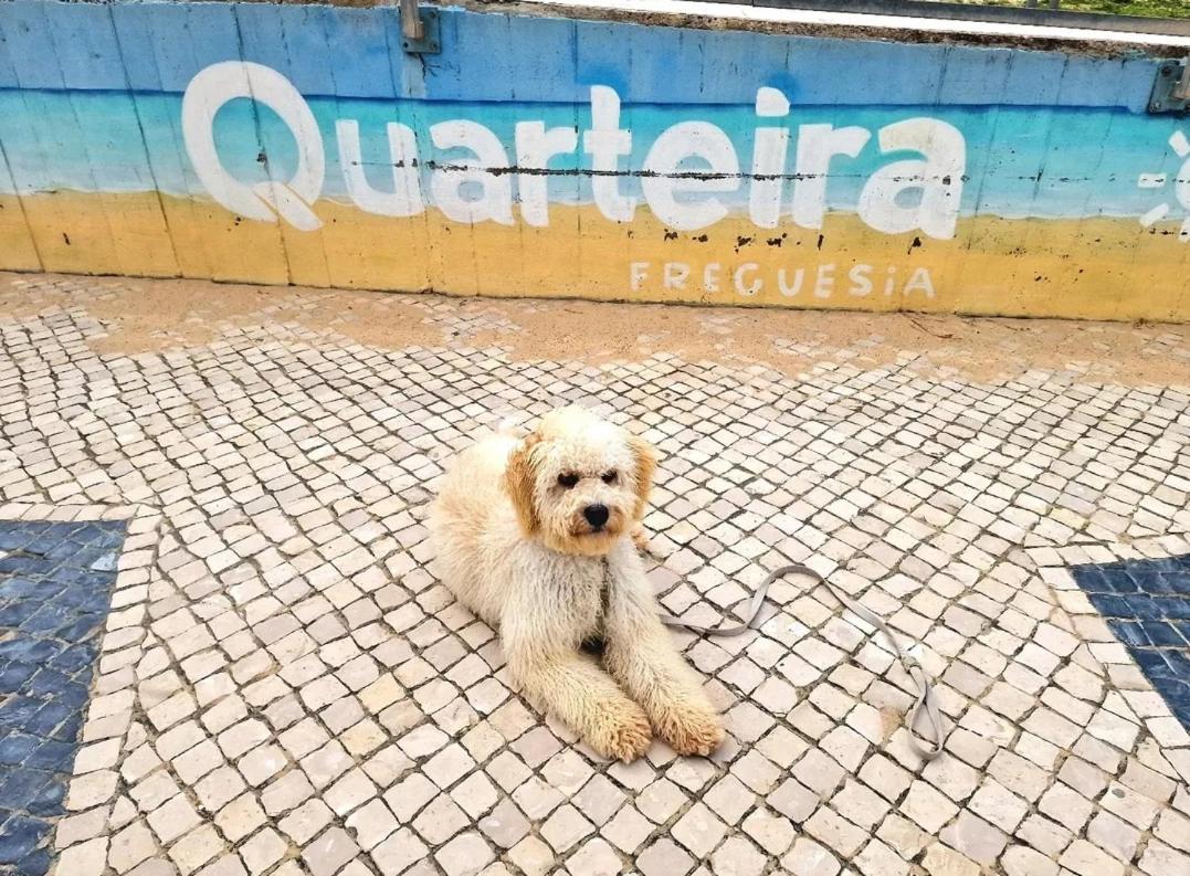 Studio Praia De Quarteira Exterior foto